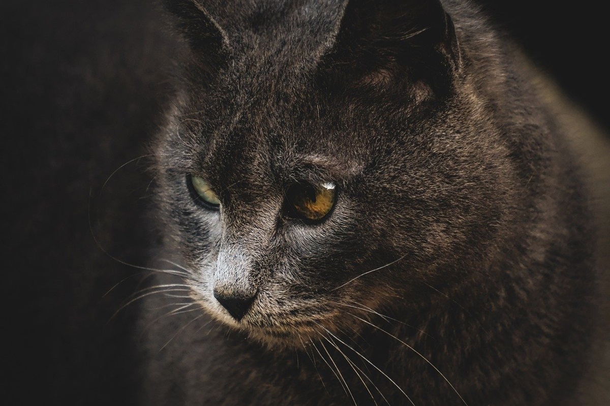 Гороскоп для всіх знаків зодіаку на вихідні 27-28 вересня 2025 року