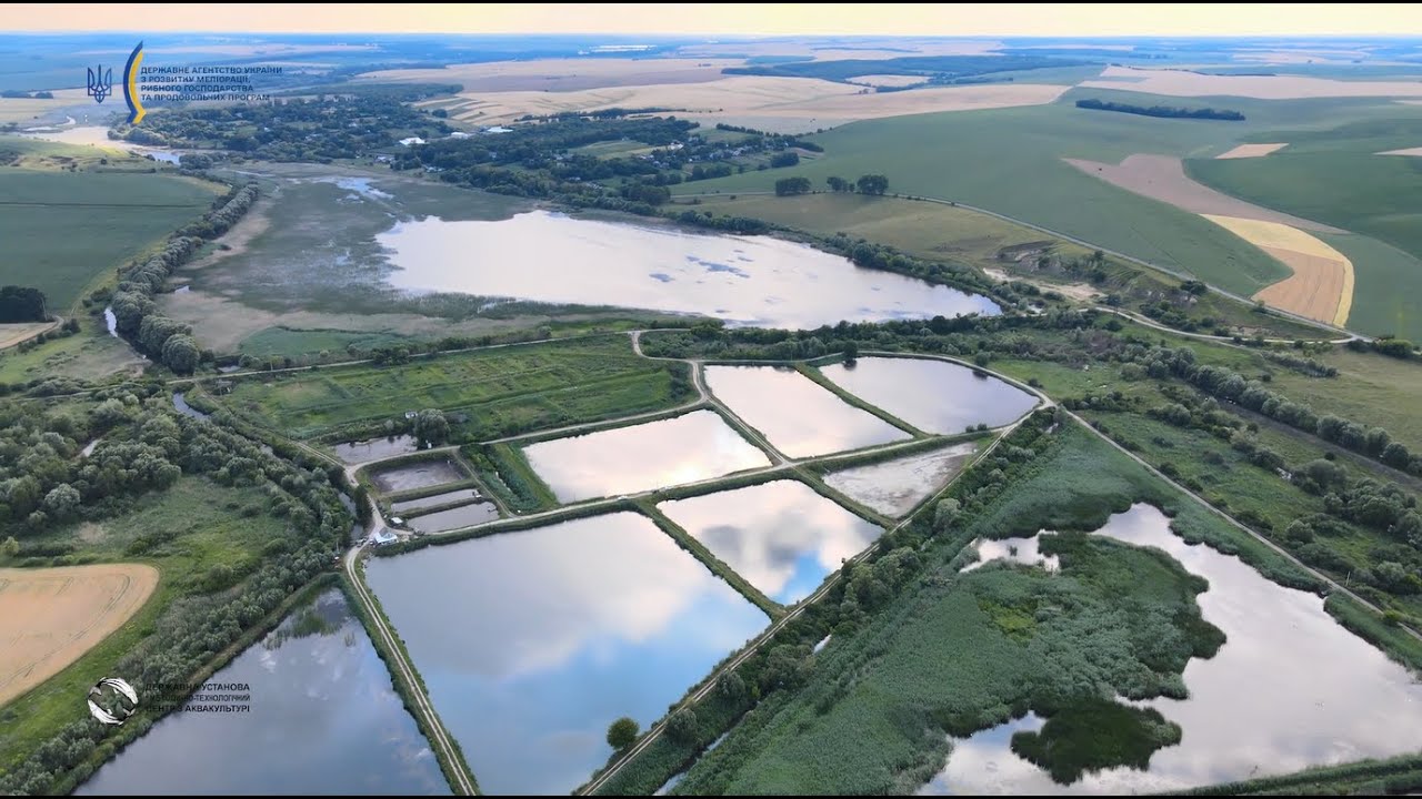 Перлина Поділля: історія успіху одного з найбільших рибних господарств України
