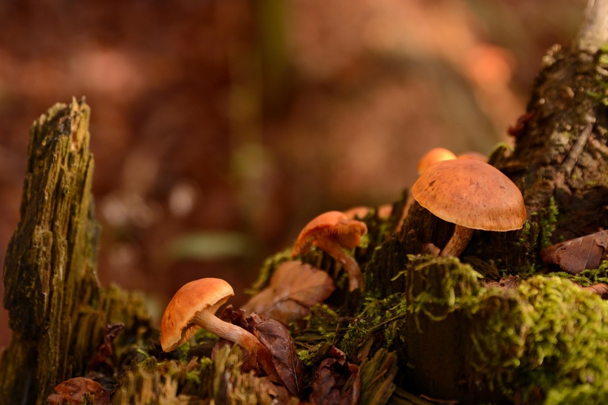 Гороскоп для всіх знаків зодіаку на 10 жовтня 2025 року