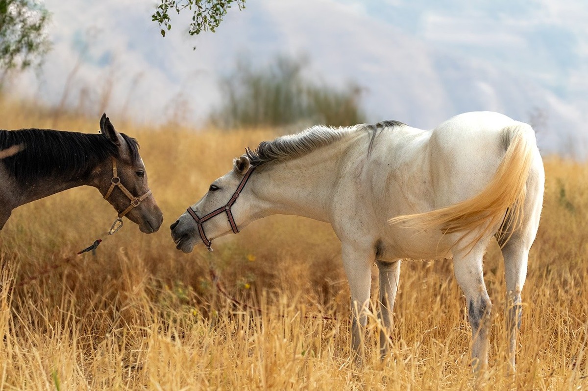 Гороскоп для всіх знаків зодіаку на 21 жовтня 2025 року