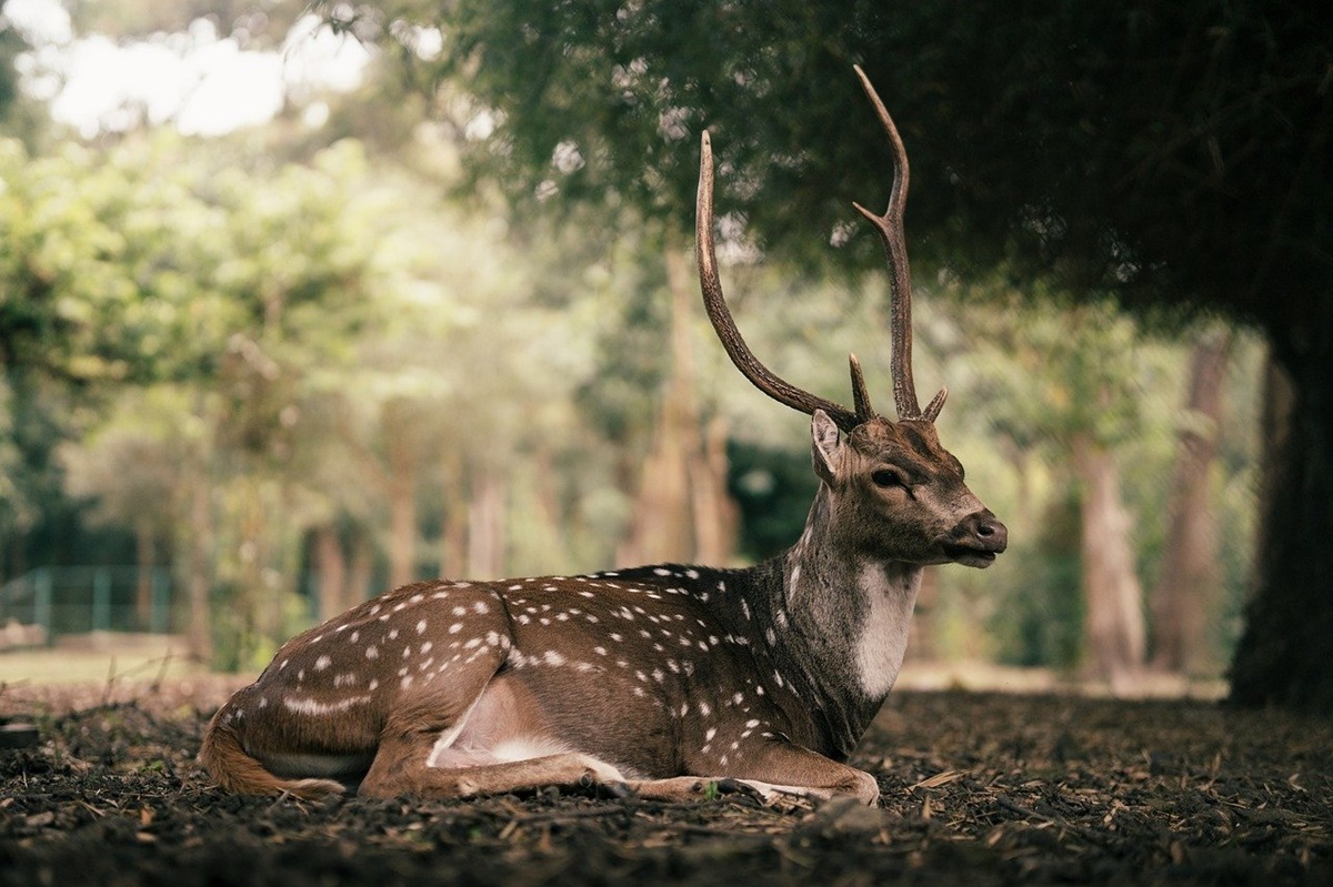 Гороскоп для всіх знаків зодіаку на 28 жовтня 2025 року