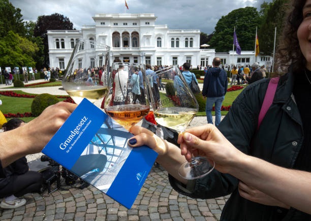 Конституція Німеччини заважає збивати російські дрони у власному небі – ЗМІ