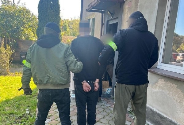 У Польщі викрили палія авто з українськими номерами