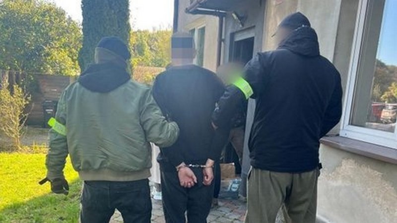 Новини світу - У Польщі затримали палія автівок з українськими номерами