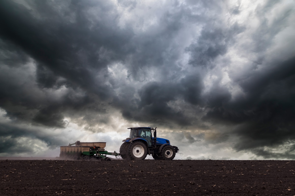 Новини бізнесу - Українські аграрії засіяли 74% озимих культур