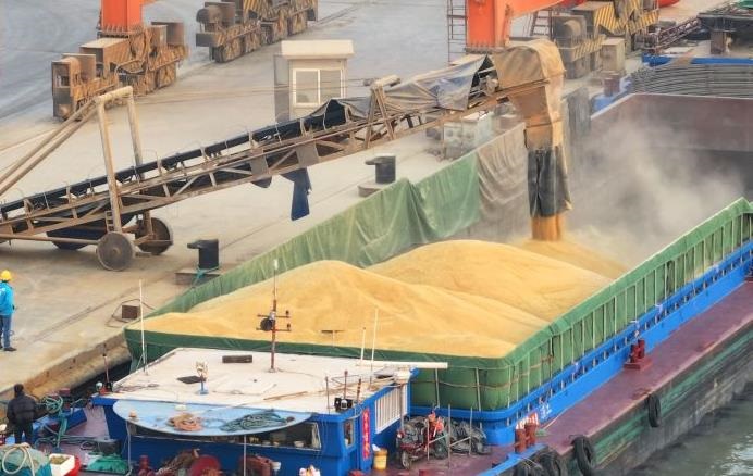 “Вивезення мільйонів тонн зерна з України”: урядовцю РФ повідомлено підозру