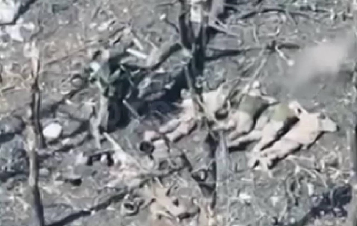 Росіяни розстріляли п’ятьох полонених бійців ЗСУ