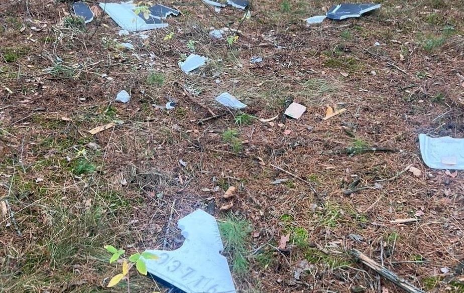 У лісі на Чернігівщині здетонував дрон, поранені двоє підлітків