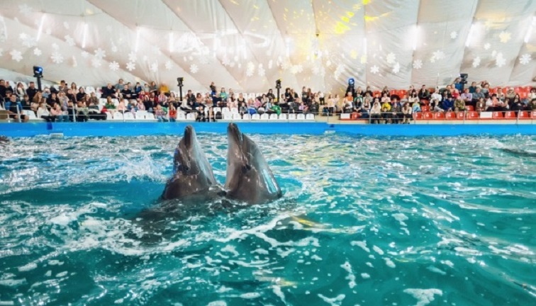 Новини України - В Одесі будівлю дельфінарію Немо арештували за борги