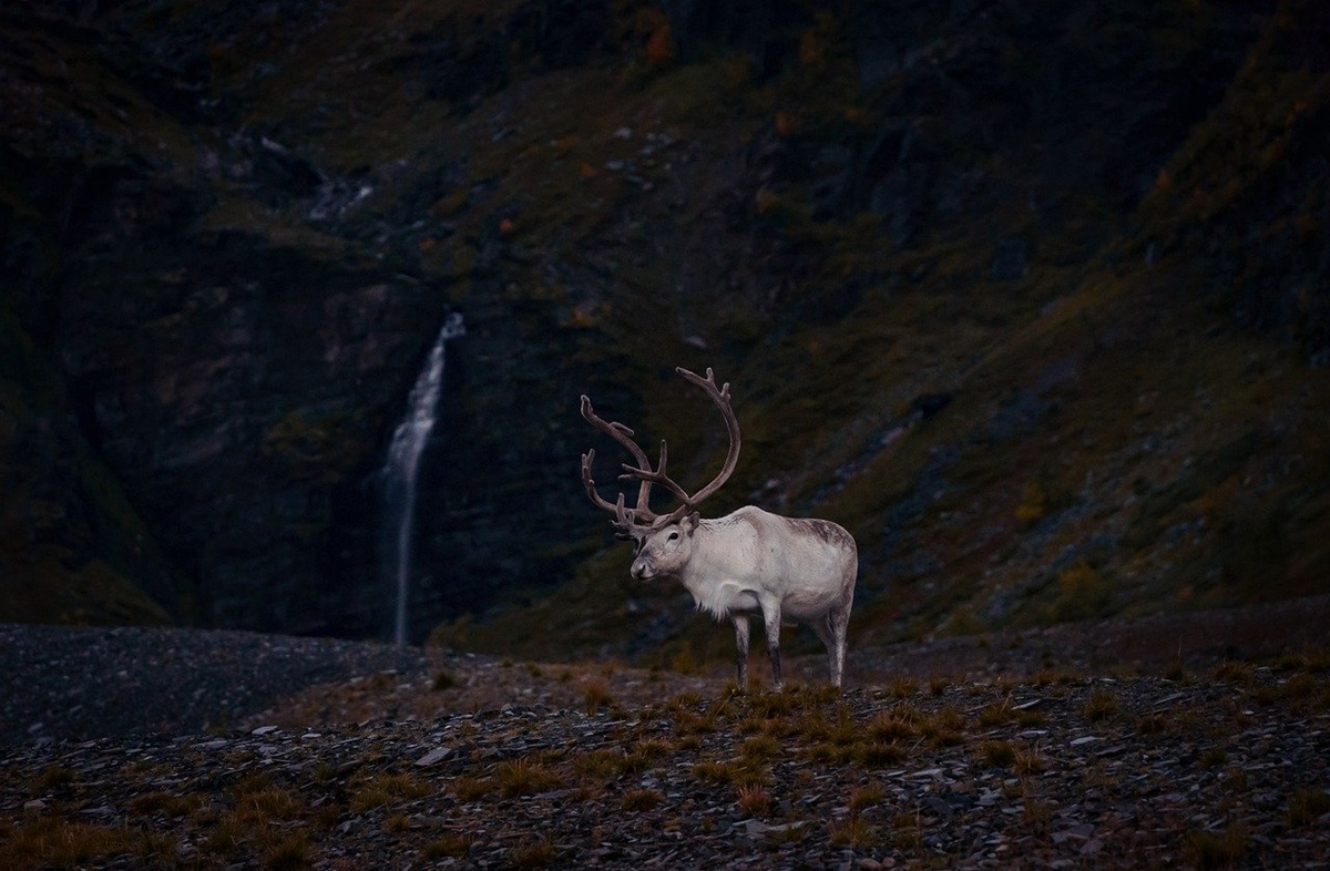 Новини культури - Гороскоп для всіх знаків зодіаку на 17 грудня 2025 року