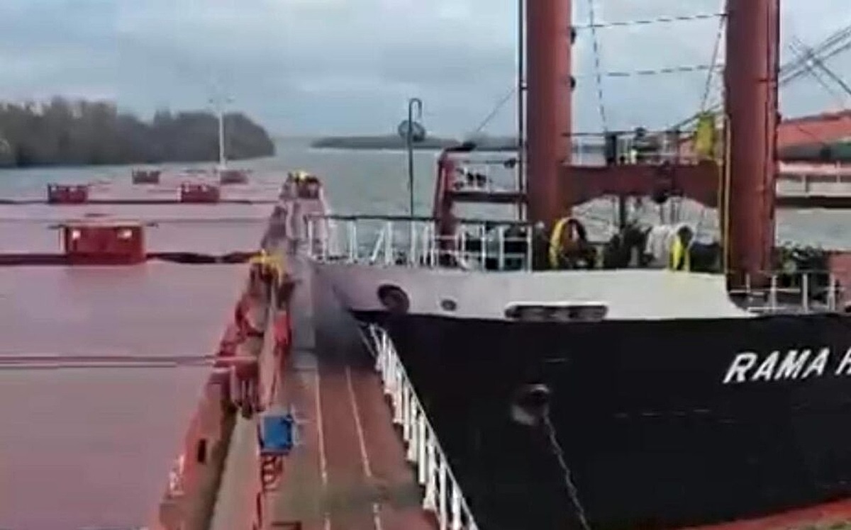 На Дунаї балкер протаранив суховантаж з українською пшеницею