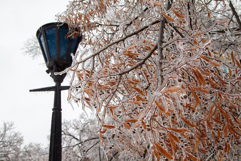Сильні морози, переважно без опадів: погода на початку лютого