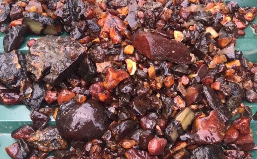 На Рівненщині викрили схему видобутку бурштину на сотні мільйонів