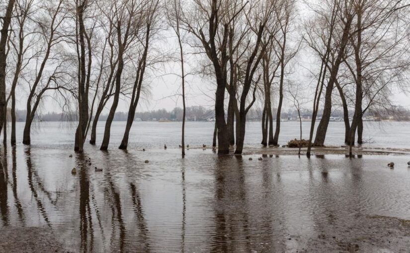 Уряд прогнозує в Україні активні весняні повені