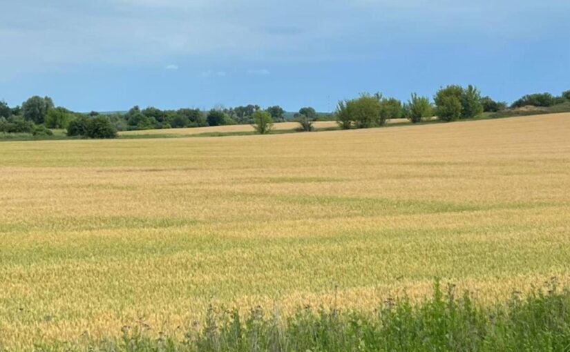 Державі повернули понад 500 га особливо цінних земель НААН