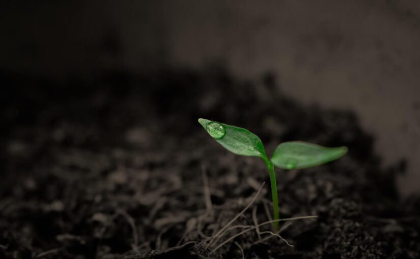 Суперкомп&rsquo;ютер NASA назвав приблизну дату кінця життя на Землі