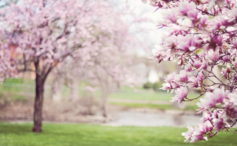 Свята 20 квітня 2026 року: іменини, прикмети