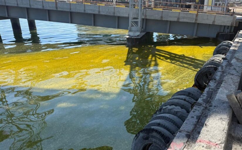 У порту Одещини в море потрапили тисячі тонн олії