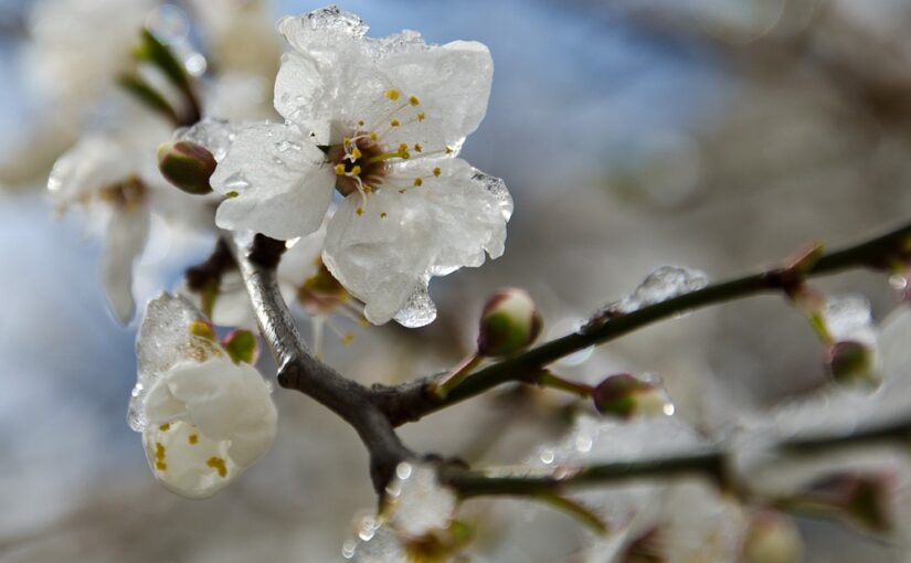 В Україні прогнозують подальше похолодання